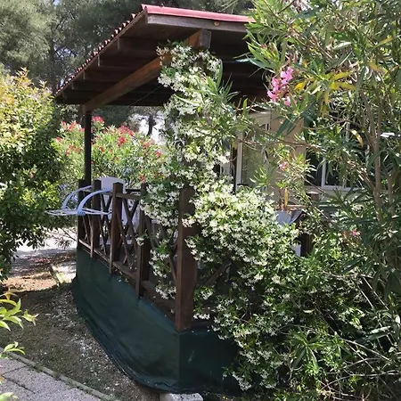Πάρκο διακοπών Media Mobile Homes In Brioni Sunny