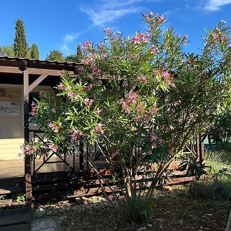 Πάρκο διακοπών Media Mobile Homes In Brioni Sunny