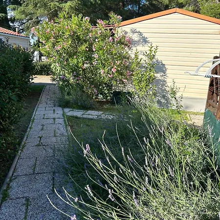 Media Mobile Homes In Brioni Sunny Πάρκο διακοπών 2*