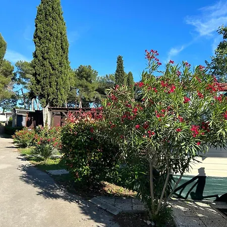 Media Mobile Homes In Brioni Sunny Πάρκο διακοπών