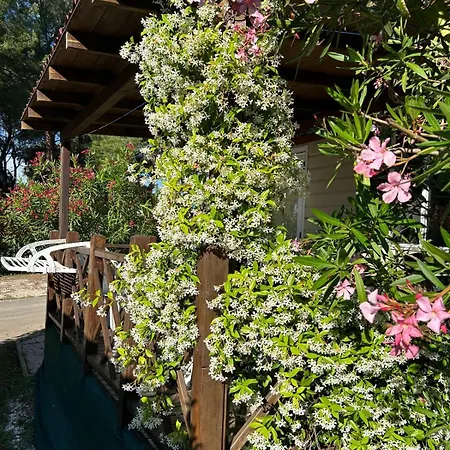 Media Mobile Homes In Brioni Sunny Πούλα