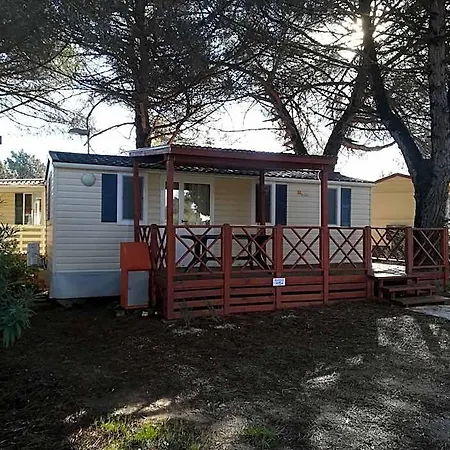 Media Mobile Homes In Brioni Sunny プーラ