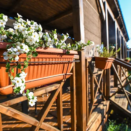 Tatil parkı Media Mobile Homes In Brioni Sunny 2*