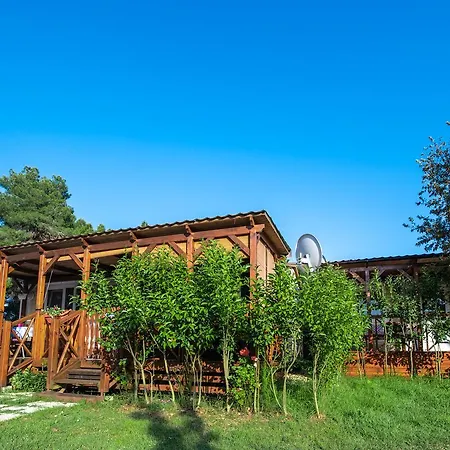 Media Mobile Homes In Brioni Sunny Üdülőpark 2*