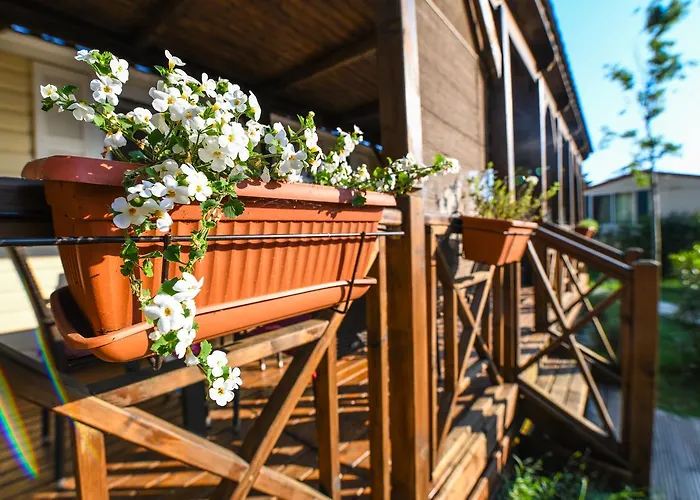 Üdülőpark Media Mobile Homes In Brioni Sunny 2*